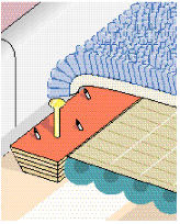 2927carpet-and-gripper