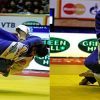 Tatami Profesional