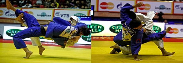 Tatami Profesional