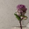 Acacia tapet contract Newmor hoteluri restaurante imagine 3