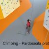 Pardoseli Climbing Safe