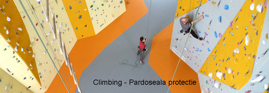 Pardoseli Climbing Safe
