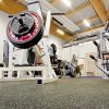 Everroll® fitness