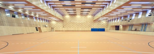 Linodur Sport DLW Gerflor imagine 7