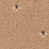 Mocheta Palace texture and pattern design cod 034 - camere hoteluri, pensiuni