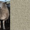 Mocheta din lana Krakow Best Wool imagine 2