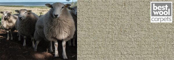 Mocheta din lana Krakow Best Wool imagine 2