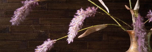 COLOUR YOUR LIFE-RASCH