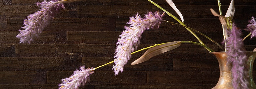 COLOUR YOUR LIFE-RASCH