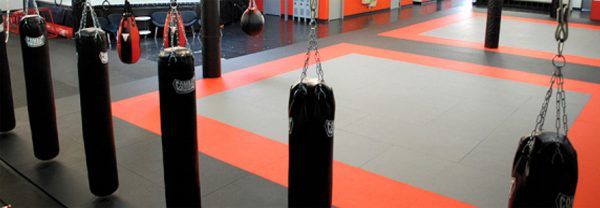 Tatami mats imagine front 3
